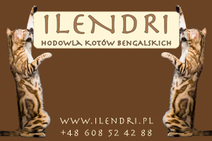 Ilendri