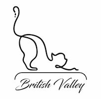 BritishValley