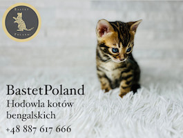BastetPoland