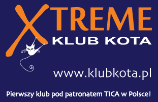 Klub Kota X-Treme